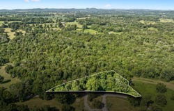 741 Canoe Branch Rd, Castalian Springs, TN 37031