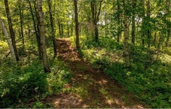 Tbd S Sluetter Road, Pequot Lakes, MN 56472