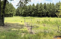 AR 172 Highway, Monticello, AR 71655