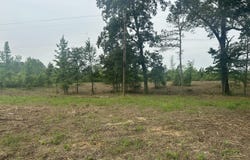 Tract 3 S State Route 22 A, Enville, TN 38332