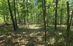 Esculapia Hollow  RD Unit #Lot 7, Rogers, AR 72758