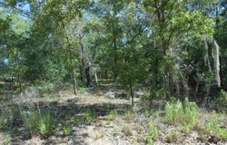 5225 E Prentice Lane, Inverness, FL 34452