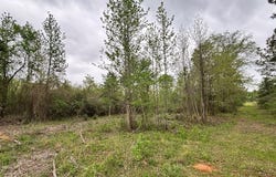 Tract 20 Lakepoint Passage, Douglass, TX 75943