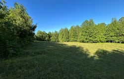 ELKHORN RD, SPRINGVILLE, TN 38256