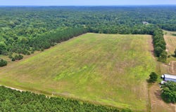 20+/- Acres 140th Avenue, Stanwood, MI 49346