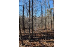 1422 Hanna Drive, Ranger, GA 30734