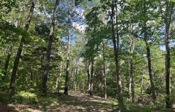 CR 2909, Marble Falls, AR 72648