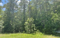 New Kent Highway, New Kent, VA 23089