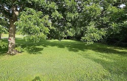 5300 Main Street, Chappell Hill, TX 77426