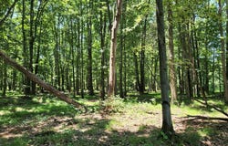 OLD DURHAM RD, PIPERSVILLE, PA 18947