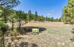 Lot F Cold Spring Trl, Custer, SD 57730
