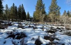 German Brown Ln., Chiloquin, OR 97624