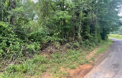 Cole Drive SE, Ruth, MS 39662