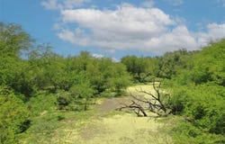 CR 331, Alice, TX 78332