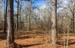 3481 County Rd 81, Abbeville, AL 36310