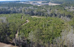 0 Taylor Mill Road, Elba, AL 36323