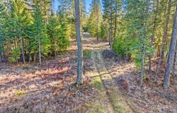 12818 BRIDGES RD, ELK, WA 99009