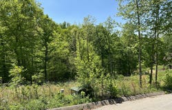 Lot 32 Timber Creek Rd, Maynardville, TN 37807