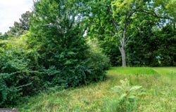 1391 Experiment, Griffin, GA 30223