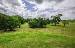 Tbd FM 147, Marlin, TX 76661