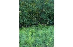 Lot 1 361st Street, Stanley, WI 54768