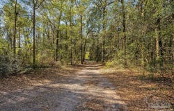 1998 Sid Hayes Rd, Jay, FL 32565