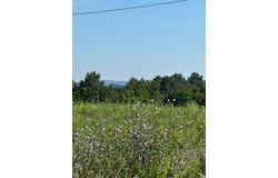 Tract #16 Statham Rd, Liberty, KY 42539