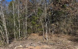 231 PRIVATE RD 8507, Van, TX 75790
