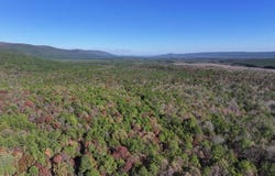 2 TBD Henderson Mill Road, Bates, AR 72958