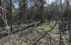 CR 3324, Pittsburg, TX 75686