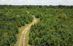 US Highway 278, Warren, AR 71671