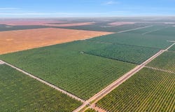 Avenue 7, Madera, CA 93637