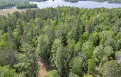 XXX Forest Dr, Duluth, MN 55803