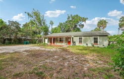 321 E 11TH AVENUE, MOUNT DORA, FL 32757