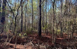 2694 County Road 4020, Crockett, TX 75835