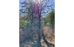 211 Big Bow, Smithville, TX 78957