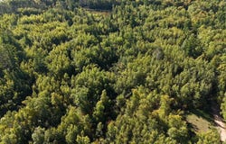 Estates Range Road, Kerrick, MN 55756