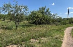 14235 Fawn Dr, Carlsbad, TX 76934