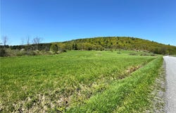 463 Cemetery Road, Seward, NY 12043