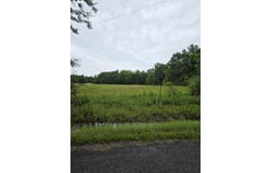 52.0 acres Co Rd 321, Moulton, AL 35650