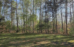 Woolwine Highway, Woolwine, VA 24185