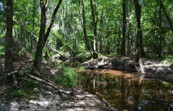0 County Rd 22, Auburn, AL 36830