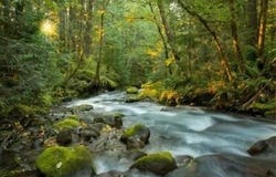 25993 E HENRY CREEK RD, Rhododendron, OR 97049
