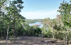 485 Cedarledge Road, Lampe, MO 65681