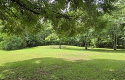 45028 MUSSLEWHITE Road, Callahan, FL 32011
