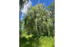 3797 Highway 65, Isle, MN 56342