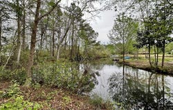 486 Mallard Roost, Sumter, SC 29150