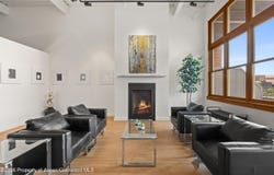 231 Robinson Street 218, Basalt, CO 81621