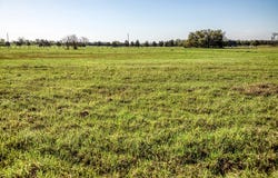 Tracts 10&11 Fieldcrest Ln, Burton, TX 77835