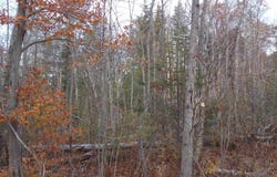 Mittenwald Strasse Road lot: 49, Bartlett, NH 03812